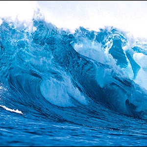 Ghost Tree Surf Break