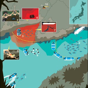 The Cove Documentary