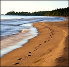 Following the leader: Lake Superior's sandy coast