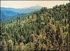 The Vista, near Weaverville, Trinity Alps, California