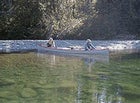 It can be easy bein' green: the emerald waters of the St. Jean River