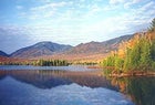 Nightly loon concertos included: the view from Elk Lake Lodge