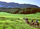 Over the hills and far away: trail riding on mountain-bred horses