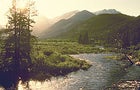 Falls River, Rocky Mountain National Park