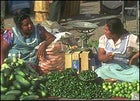 Fruit and pepper venders in Oaxaca