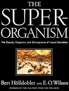 The Superorganism by E.O. Wilson