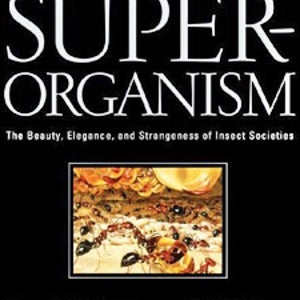 The Superorganism by E.O. Wilson
