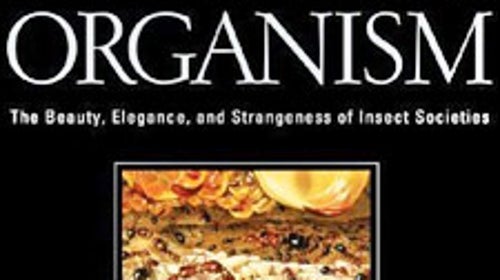 The Superorganism by E.O. Wilson