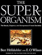 The Superorganism by E.O. Wilson