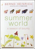 Summer World: A Season of Bounty