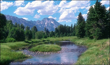 Yellowstone National Park