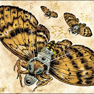 Government Surveillance: Moths