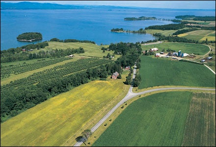Summer in Vermont