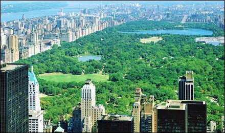 Webcam discount central park