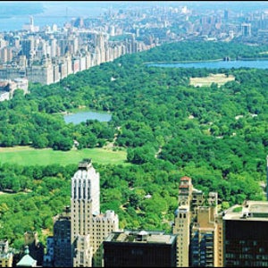 Wildlife in New York City