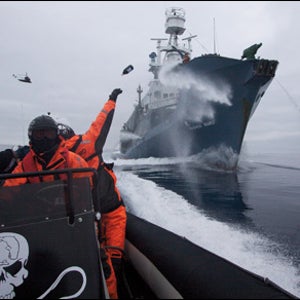 Sea Shepherd