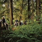 Clayoquot Biosphere