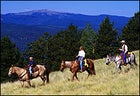 One hoof in front of the other: horseback riding across Vermont