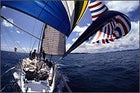 Red, white, and you: sailing Florida's ocean blue