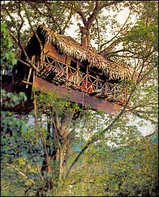 A notch above: a TourIndia Kerala tree house