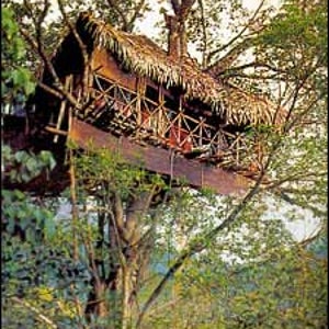 A notch above: a TourIndia Kerala tree house