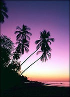 Tobago at sunset