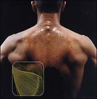muscles, exercises, strength