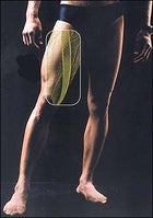 muscles, exercises, strength
