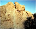 Joshua Tree National Park, California