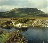 Wild Winds, Rough Going, No Blarney