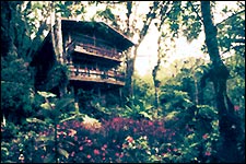 The easy way to spot quetzals: Lounge on the deck of a private chalet in Panama's Chiriqui highlands.