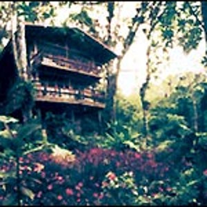 The easy way to spot quetzals: Lounge on the deck of a private chalet in Panama's Chiriqui highlands.
