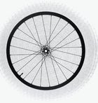 Easton Haven Carbon Wheel