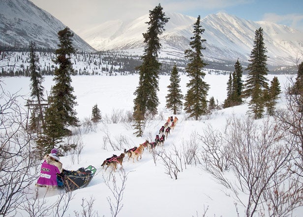 Dogsled Alaska