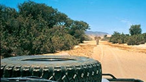 How do you put this thing in reverse? Heavy traffic in Kaokoveld, Namibia
