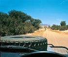 How do you put this thing in reverse? Heavy traffic in Kaokoveld, Namibia