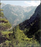 From the beginning of the trail in Xyloskalos, the Samaria Gorge drops 3,000 feet in less than two miles.