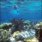 Belize
