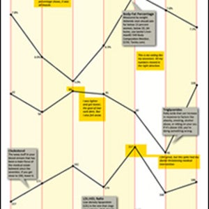 The Shape of My life