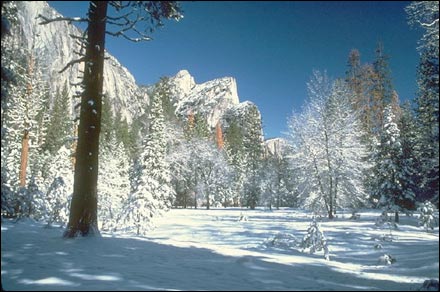 Yosemite National Park