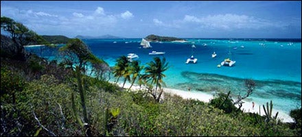 Grenadines Palm Island