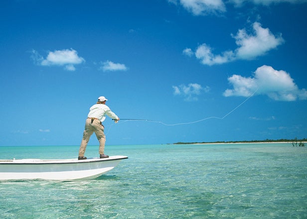 Chasing bone off Andros