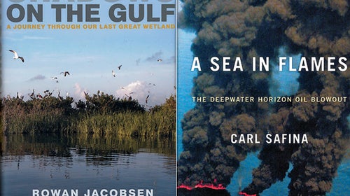 Shadows on the Gulf, A Sea in Flames