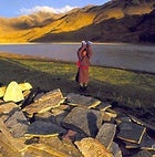 Sacred stones: praying at a Mani Wall beside the Tsangpo River, Tibet