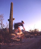 Santa Catalina Mountains