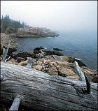 national parks, state parks
