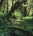 national parks, state parks