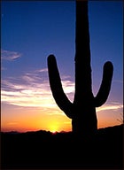 Sedona at sunset