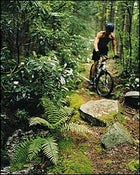 Singletrack of champions: mountain-biking the Davis Trail, near Davis