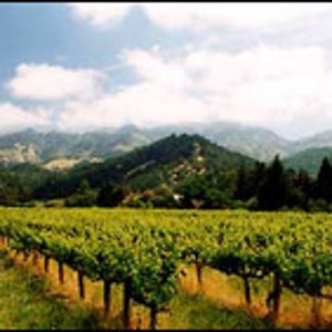 Napa Valley, CA